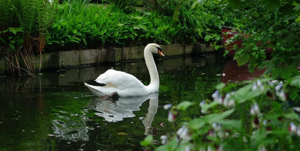 B&B Canal Deluxe Brugge Bagian luar foto